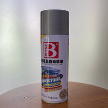Load image into Gallery viewer, Spray Paint
